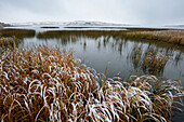 'Winter over elkwater lake in cypress hills provincial park;Alberta canada'