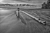 'Large Piece Of Driftwood Laying On Combers Beach In Pacific Rim National Park;Vancouver Island British Columbia Canada'