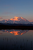 Alpenglow on Mt. McKinley, also known as Denali, reflected in tundra pond at sunrise, Fall, Denali National Park, Interior Alaska, USA.