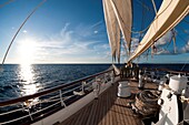 French Caribbean, France, Guadeloupe, Basse-Terre, Deshaies, Star Clipper sailing cruise ship