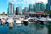 A marina in downtown Vancouver British Columbia with the city's skyline
