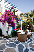 Turkey, Boutique Hotel, Bodrum, Bougainvillea in grounds of Su Otel