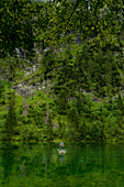Man fly fishing from small boat in Lake Forggensee near Ruhpolding, Bavaria, Germany