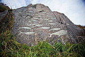 Whale carvings on rocks, Qaqortoq (Julianehab), Greenland, Denmark