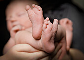 Studio Shot Of Babies Feet In Focus And Face Out Of Focus. Being Held By Mom