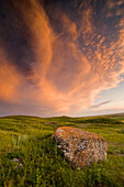 West Block Of Grasslands National Park, Saskatchewan Canada