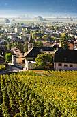 Vineyards and village, Vetroz, Valais, Switzerland