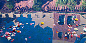 Roses and petals floating in the tranquil water reflecting the buildings, Marrakech-Tensift-El Haouz, Morocco
