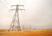 Electricity pylons in dessert, Abu Dhabi, United Arab Emirates