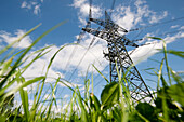 Strommast in einer Wiese, Gleisdorf, Steiermark, Österreich