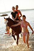 Drei Mädchen mit einem Pferd im Starnberger See, Ammerland, Münsing, Oberbayern, Bayern, Deutschland