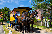 Horse and cart, Langeoog Island, North Sea, East Frisian Islands, East Frisia, Lower Saxony, Germany, Europe