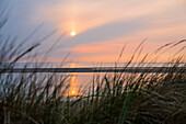 Strandhafer in Dünen am Strand in der Abenddämmerung, Wolkenstimmung, Langeoog, Ostfriesische Inseln, Nordsee, Ostfriesland, Niedersachsen, Deutschland, Europa