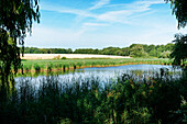 Mill pond in Cismar, Schleswig-Holstein, Germany