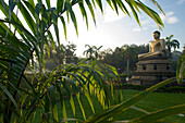 Sitzender Buddha im Viharamahadevi Park, Colombo, Sri Lanka, Südasien