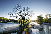 Flaucher, Isar, München, Bayern, Deutschland