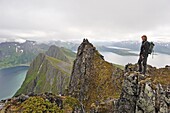 view over the fjords Bergsfjorden and Steinfjorden from Husfjellet mountain Senja island County of Troms Norway Northern Europe