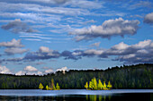 Section 12 Lake, Boundary Waters Canoe Area Wilderness, Minnesota