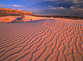 Gypsum dunes, Guadalupe Mountains National Park, Texas