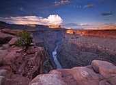 Colorado River from Toroweap Overlook, Grand Canyon National Park, Arizona