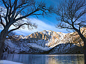 Laurel Mountain and Convict Lake framed by barren trees in winter, eastern Sierra Nevada, California