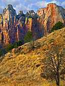 Towers of the Virgin, Zion National Park, Utah