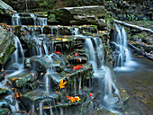 Kitchen Creek cascades, autumn, Ricketts Glen State Park, Pennsylvania