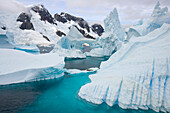 Leopard Seal (Hydrurga leptonyx) surrounded by icebergs stranded in shallow bay near Booth Island, Antarctica