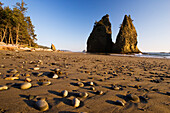 Rialto Beach with sea stack, Olympic National Park, Washington