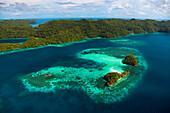 Rock islands covered with rainforest, the limestone islands have been eroded into mushroom-like formations, Palau