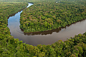 Rainforest and Essequibo River, Iwokrama Rainforest Reserve, Guyana