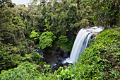 Zillie Falls, Atherton Tableland, Queensland, Australia