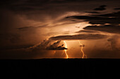 Lightning during summer storm, Kalahari, Northern Cape, South Africa