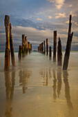 Old wharf at sunset, Saint Clair Beach, Dunedin, Otago, New Zealand