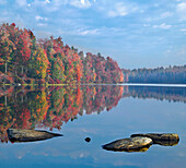 Deciduous forest in autumn along Lake Jean, Ricketts Glen State Park, Pennsylvania