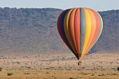 Hot air balloon over savanna, Masai Mara Triangle, Kenya
