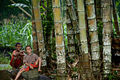 Zwei Knaben sitzen neben riesigem Bambus bei einem Dorf der Ngada bei Bajawa, im Hintergrund traditionelle Häuser am Dorfplatz, Flores, Nusa Tenggara Timur, Östliche Kleine Sundainseln, Indonesien, Asia