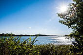 View over the Schlei, Schleswig-Holstein, Germany