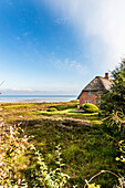 Thatched-roof house with Wadden Sea in background, Kampen, Sylt, Schleswig-Holstein, Germany