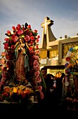 A pilgrim carries an image of the Our Lady of Guadalupe decorated with flowers outside of the Our Lady of Guadalupe Basilica in Mexico City, December 9, 2012