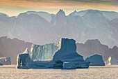 Icebergs, Scoresbysund, Greenland.