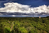 tikal maya ruins. guatemala