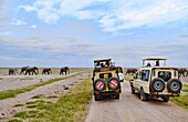 Amboseli National Park Kenya Africa safari vehicles with tourists close next to elephant herd walking between vans in reserve jungle