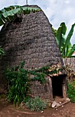 Arba Minch Chencha Ethiopia Africa Dorze tribe village elephant type home in village looks like elephant which they now miss