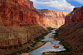 The Colorado River meandering through the Marble Canyon section of Grand Canyon National Park