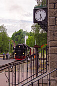 Alexisbad Station, Harz, Saxony-Anhalt, Germany, Europe