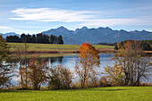 Blick über den Forggensee auf die Tannheimer Berge, Allgäu, Bayern, Deutschland