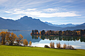 View over lake Forggensee to the Allgaeu Alps, Saeuling and Tannheim mountains, Allgaeu, Bavaria, Germany