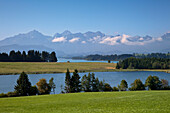 Blick über den Forggensee auf die Tannheimer Berge, Allgäu, Bayern, Deutschland