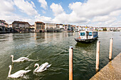 View over river Rhine to a hotel, Basel, Canton of Basel-Stadt, Switzerland